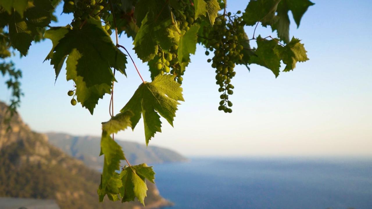 Kabak Mamma'S Pension Restaurant & Terrace Bar Fethiye Exteriör bild
